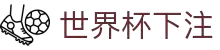 世界杯下注平台- 世界杯投注网